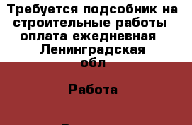 Требуется подсобник на строительные работы, оплата ежедневная - Ленинградская обл. Работа » Вакансии   . Ленинградская обл.